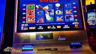 Crocs Big Red Pokie Win