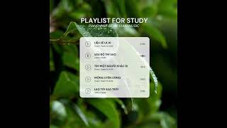 "Cảm ơn vì đã không đi cũng nhau mình càng cố gắng tim sẽ càng đau..." | Playlist Speedup