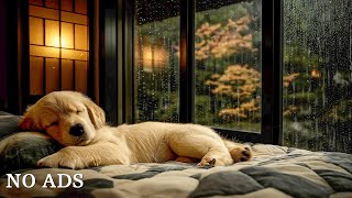 Dog Music🎵Relaxing Calming Music🐶Cure Separation Anxiety Music to Calm Dogs