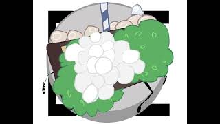 Seasons in the sun // Beans Show animation 