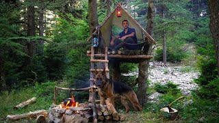 Bushcraft Camping in the Wilderness with My Dog - Building a Survival Shelter
