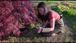 Planting a Flower Bed with Summer Rayne Oakes
