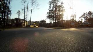 Mutt Tugging.wmv