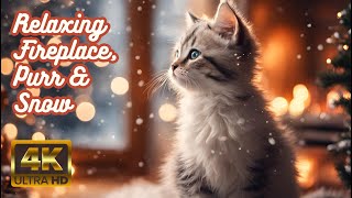 Crackling Fire, falling snow and the CUTEST CATS ❄️😻Get ready for Christmas ~ Winter ASMR