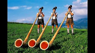 Die Mayrhofner - Schei-wi-dei-wi-du (Chillout hardstyle oompah remix)