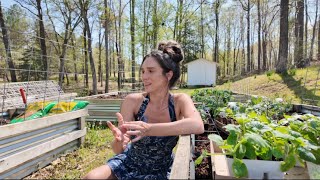 Garden Haul 🌼🌷🪴| 2025