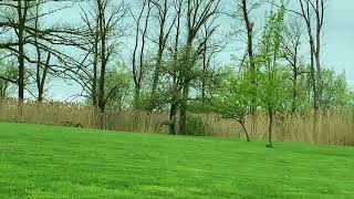 Lawns a cover by Scott Petito from his album Rainbow Gravity