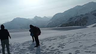 Track sarpass