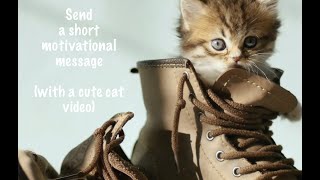 Cute cat motivational short video | share with those you care about