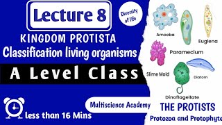 Kingdom Protista -Protozoa & Protophyte |Biological Classification  |General Characteristics