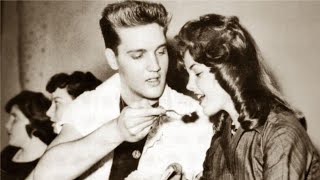 A.I. Nostalgia song [Elvis Presley -- Gentle Force]