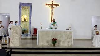 Santa Missa - Paróquia Aparecida