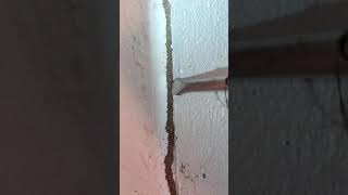 Heavy Termite Damage
