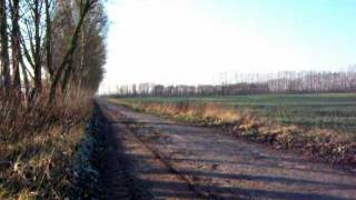 Impressionen meiner 78er Simson S50 N