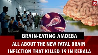 Brain-eating deadly amoeba causes 19 deaths in Kerala; what is it?