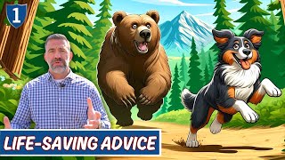 Essential Training Before Going Off-Leash! Advice from Army Ranger Sniper & Vet!