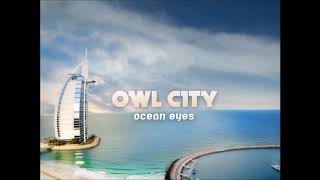 Owl City - Fireflies Vocals Only