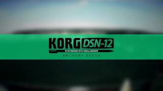 KORG DSN-12: Hard Times (Anthony Seeha Remix) - ruBRK