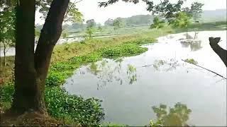 গ্রামের প্রকৃতি কার না ভালো লাগে