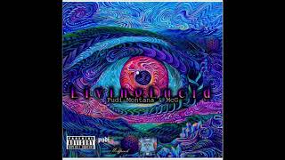 Pudi Montana - Living Lucid Ft. McG