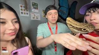 Zully forgets Oscar Junior and goes to the zoo with her new suitor? #orquestalabellaluz