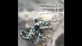IDKLANG - Duchess