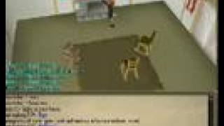 W0000000T 34 CON! runescape