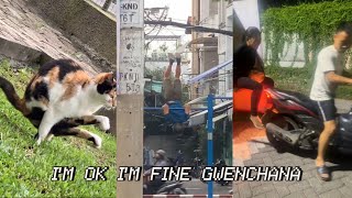 I'm Okay I'm Fine Gwenchana