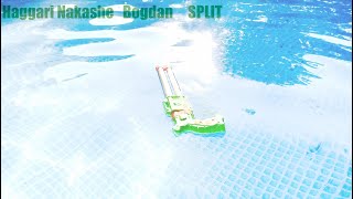 Haggari Nakashe, Bogdan- Pulsewave Remedy/Holy Eye-Covered centipede (Official Video)
