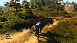 The Witcher 3: Wild Hunt_20150522103025