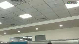 Blue Turtle Live Stream Testing