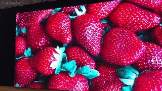 浸信會沙田圍呂明才小學LED Wall Project Preview - ProVision Digital