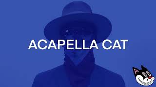 Mach-Hommy - Blockchain Acapella 87 BPM - 4K Acapella Cat