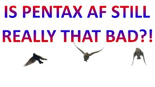 Is PENTAX AF still as BAD as people say? Join me in an outing and let's find out!