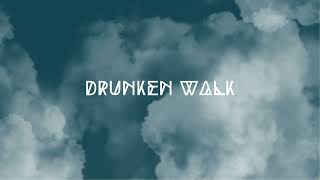 Drys Lønd Vick | Drunken Walk | EDM music producer