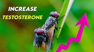Top Kegel Exercises To Boost Testosterone & Stamina🔥