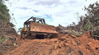 UNBELIEVABLE SKILL: Bulldozer Builds Forest Road Without Breaking a Sweat!