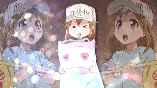 Cells At Work Anone Canyon