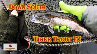 Fly Fishing [ The South River Va. ] With BnB Knives !!! Oh Yea... Tiger Trout !!!