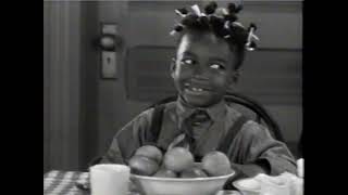 Little Rascals / Our Gang - Volume 18 Cabin Fever Box Set