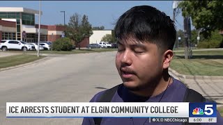 Agents diverted from other entities to aid ICE blitz in Chicago