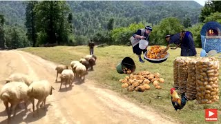 WHO WANTS TO SEE PARADISE, COME TO AZERBAIJAN