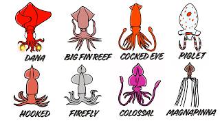 Every SQUID Explained And It Gets CREEPIER the Deeper You Go