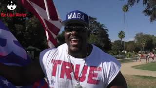 MAGA Hulk in Reverse Part 2
