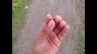 TCSN Pressure: Steve Neil Today Bally (Episodes 4)