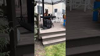 Avery Hirsch sings her original song Different Stars