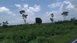 A ki dekhlam।। এ কি দৃশ্য বানারহাট চা পাতা বাগানে banarhat *jalpaiguri