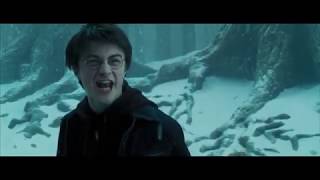 HARRY SIRIUS'UN SÜT BABASI OLDUĞUNU ÖĞRENİYOR