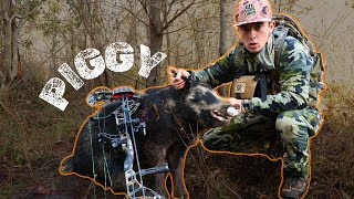 GA PUBLIC LAND HOG DOWN!!