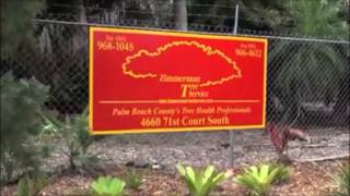 Zimmerman Tree Service Nursery and HQ